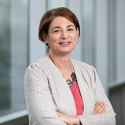 Prof. Laura Steinberg (Earth and Environmental Sciences),  Director of the Schiller Institute
