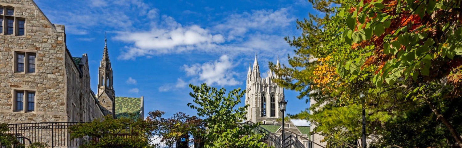 Gasson Stairs Leaves