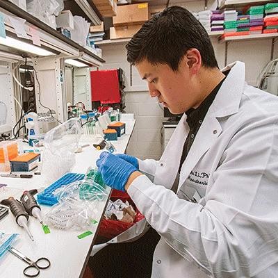 image of bc student working in a lab