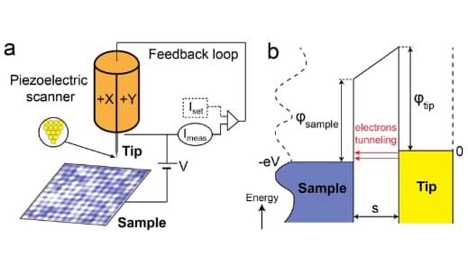 STM principles, figure 1