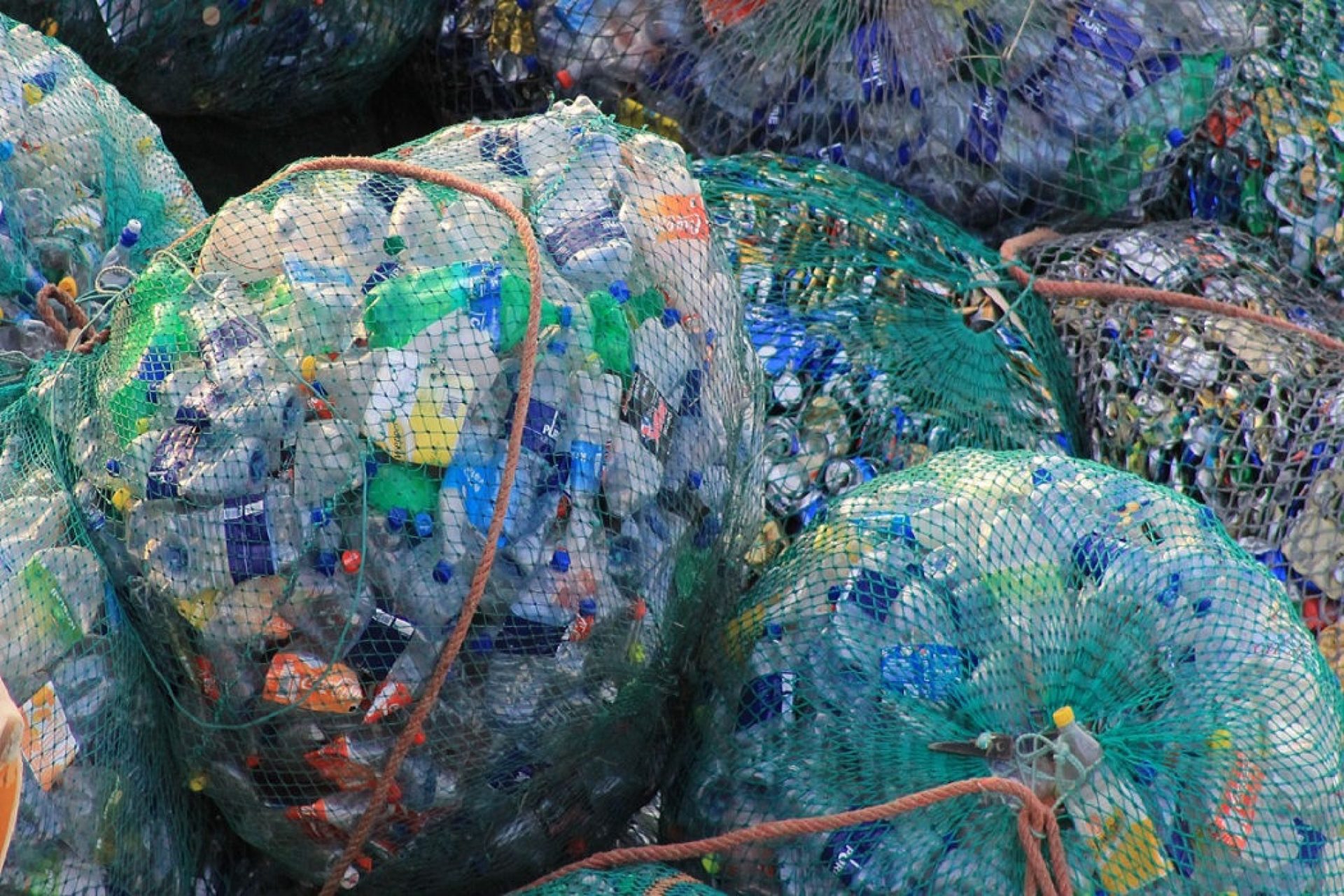 Boston College Hosts Panel Discussion on UN Plastics Treaty