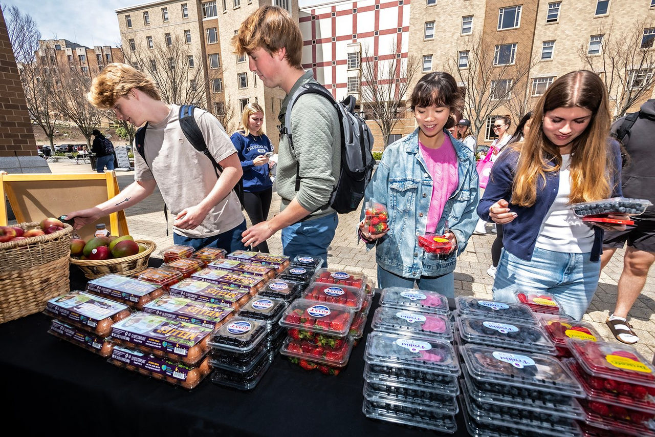 Students at a farmers market