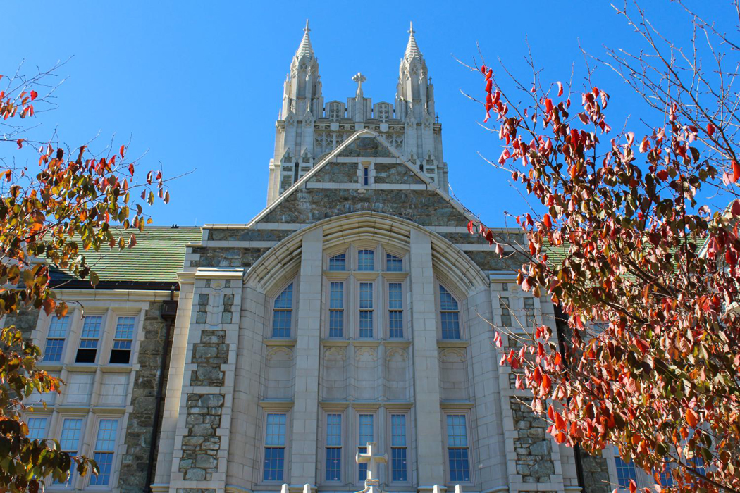 Gasson Fall leaves