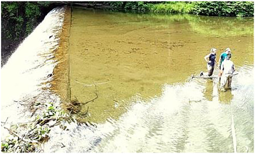 Students surveying sediment deposited behind a dam in western Massachusetts