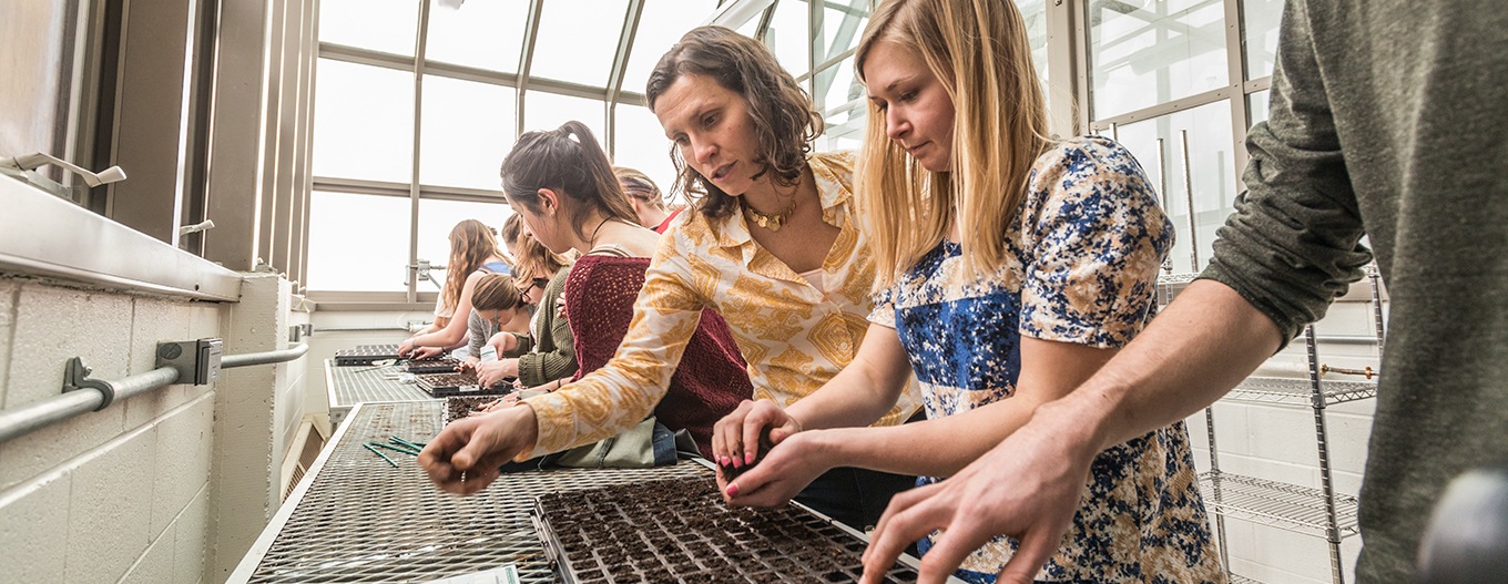 students working with seedlings