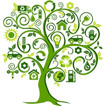 going-green-tree-wellness-sustainability.jpg